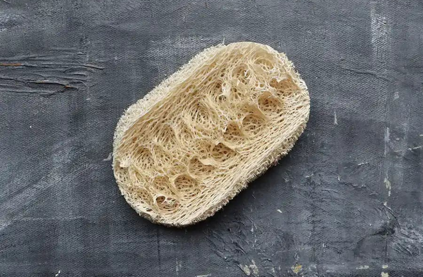 Eco Friendly Kitchen Sponges for a Cleaner and More Sustainable Home