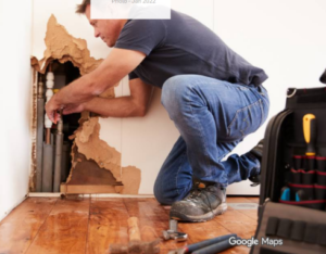 How Professionals Track Moisture During Emergency Water Cleanup
